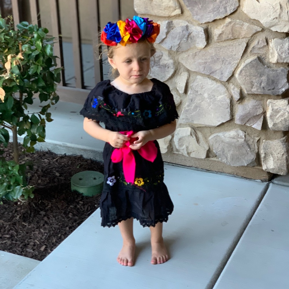 Girls dress lace embroidered flowers sz 2t-4T